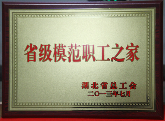 hjc888ƽǡ(й)ٷվ