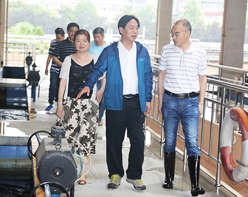 hjc888黄金城·(中国游)官方网站